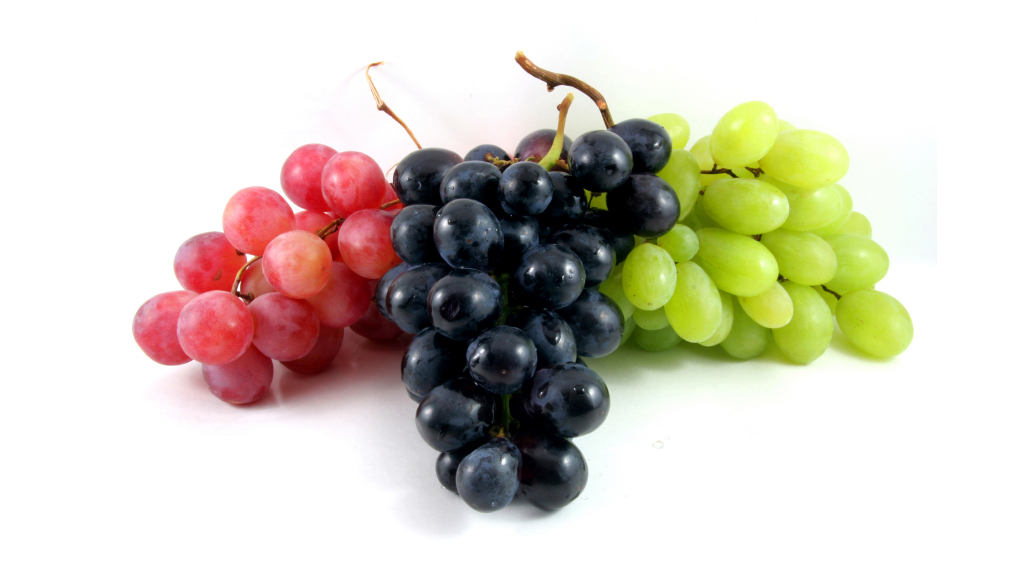 Frutta e verdura di stagione per mese Settembre